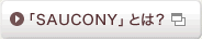 �uSAUCONY�v�Ƃ́H