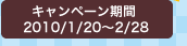 �L�����y�[�����ԁF2010�N1��20���`2010�N2��28��