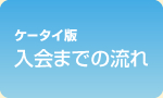 �P�[�^�C�� ����܂ł̗���