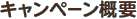 キャンペーン概要