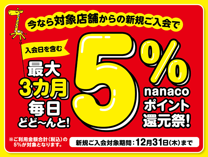 nanacoクレジットカード｜【公式】nanaco 電子マネー クレジットカード