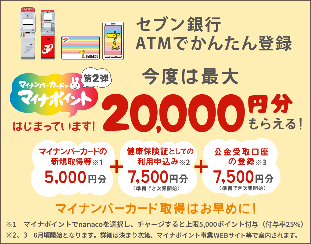 マイナ ポイント nanaco