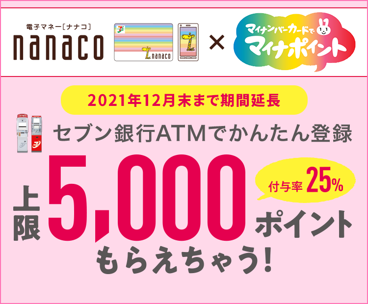 マイナ ポイント nanaco