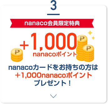 3 nanacoT nanacoJ[h͊̕Ԓ+1,000nanaco|Cgv[gI