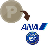 ANÃ}CAANA SKY RC֌